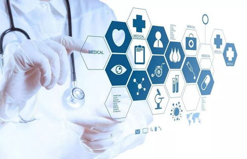 內蒙古互聯網政務服務革新取得階段性成果，構建高效便民互聯網信息服務體系